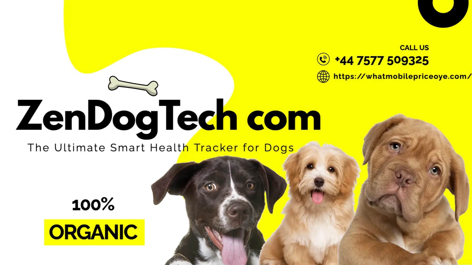 ZenDogTech com – The Ultimate Smart Health Tracker for Dogs
